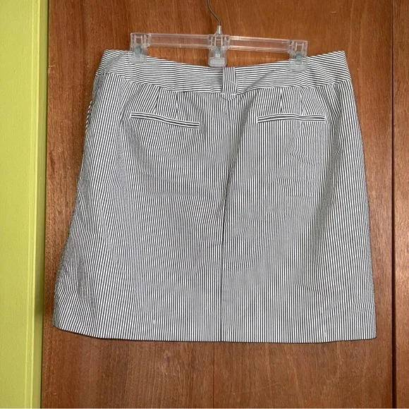 Ann Taylor Loft Seersucker Striped Skirt
• Size 10 - Picture 2 of 4
